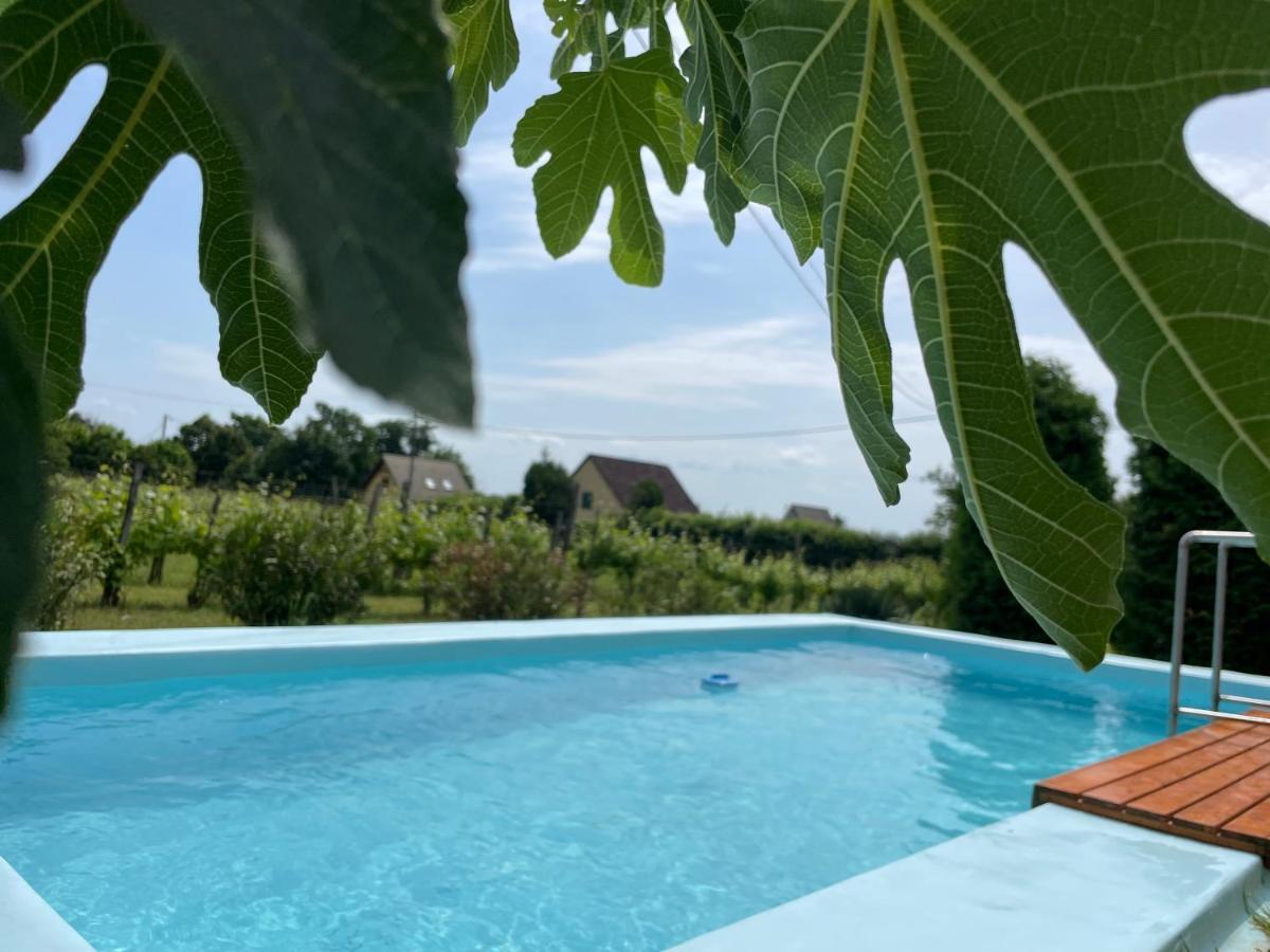 Fuege Vendeghaz Villa Lovas Ngoại thất bức ảnh